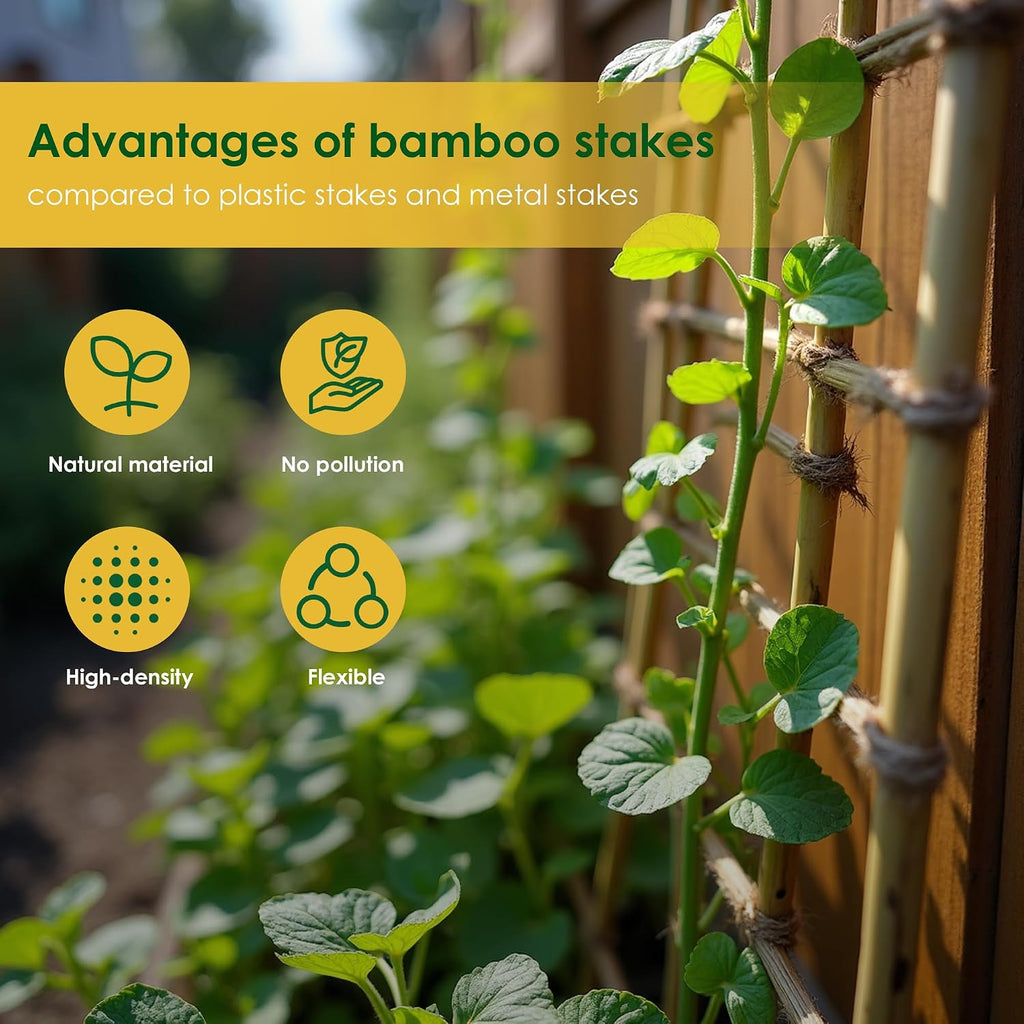 Cambaverd Bamboo Stakes, Plant Stakes 4ft, 50 Pack Bamboo Sticks for Plants | Natural Garden Stakes for Tomatoes, Beans