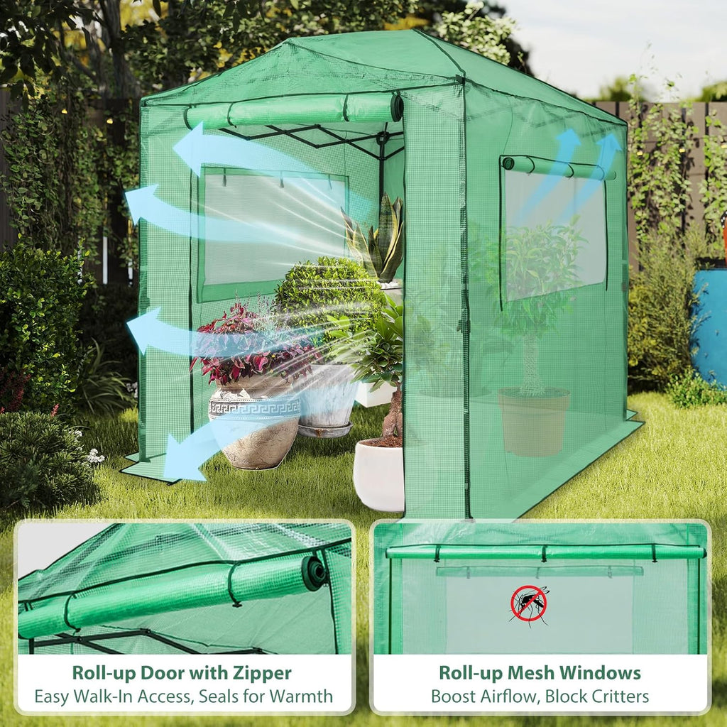 EAGLE PEAK 8x6 Easy Setup Pop Up Greenhouse, Clear/Green | Walk-In Greenhouses for Outdoors, Green House for Winter