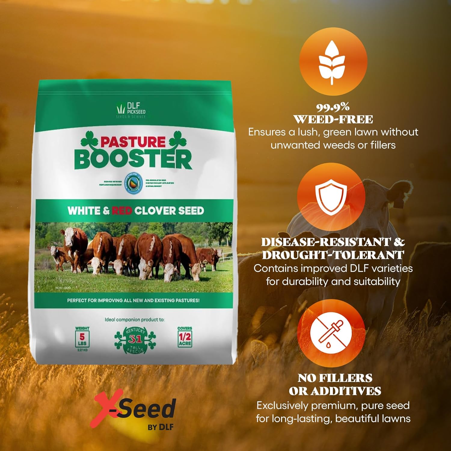 DLF Pasture Booster Clover Seed Mixture - Premium Clover Seed for Pastures, Livestock, Horses, Providing Protein &