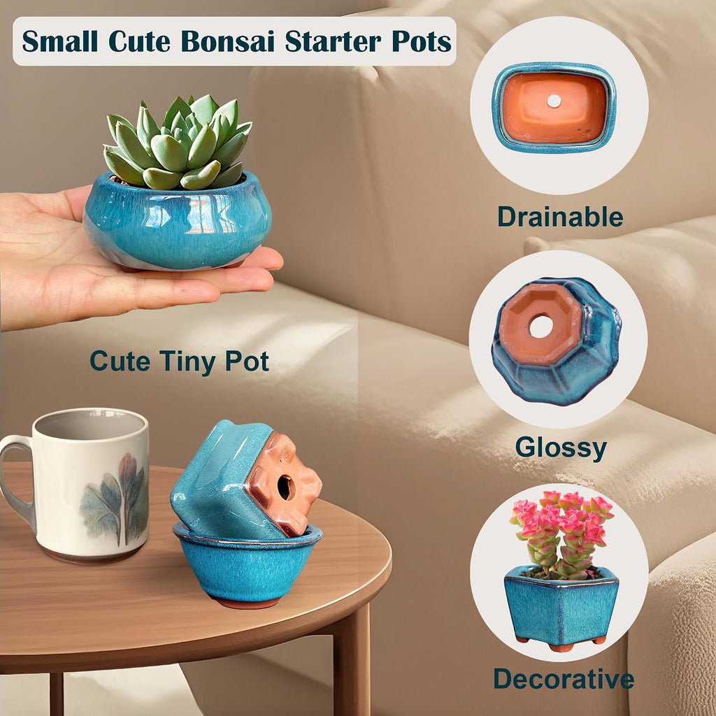 MUZHI 6PACK Glazed Bonsai Pot Planter 3" 4” Small Succulent Pots, Yixing Zisha Decorative Mame Bonsai Training Pot or