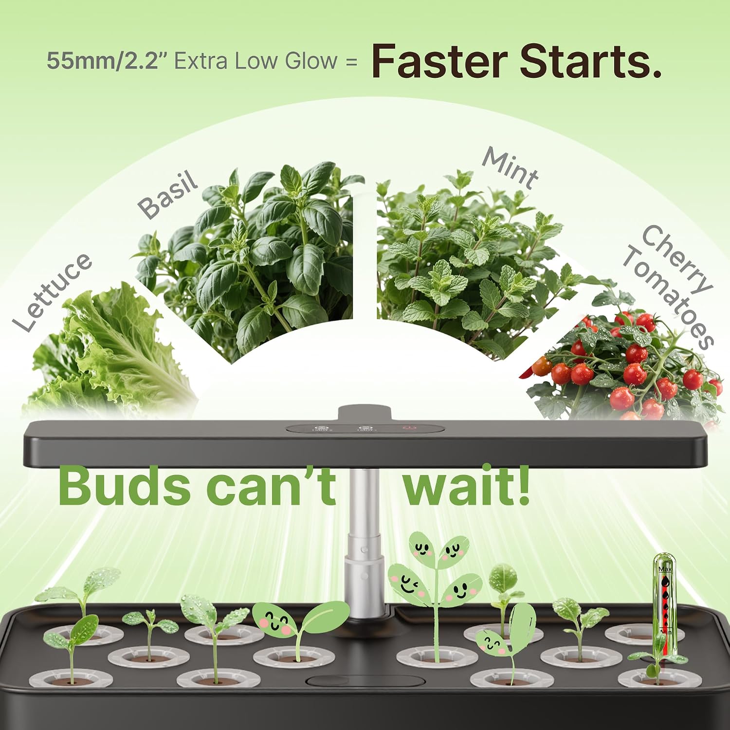 Hydroponics Growing System, Compact 12 Pods Indoor Garden, Black | 24W LED Dimmable Grow Light, 4L Water Tank with