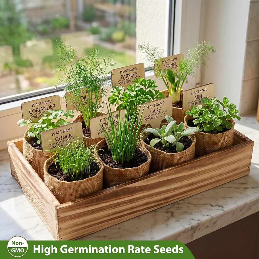 LUOJIBIE Herb Garden Kit Indoor, Herb Growing Kit with Seeds & Tools, Birthday Gifts for Women Men Mom Dad Girls Boys