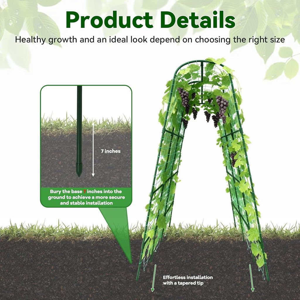 Cucumber Trellis - 62.4"*50" Cucumber Trellis for Raised Bed with Plastic-Coated Steel Pipe, U-Shape Garden Trellis for