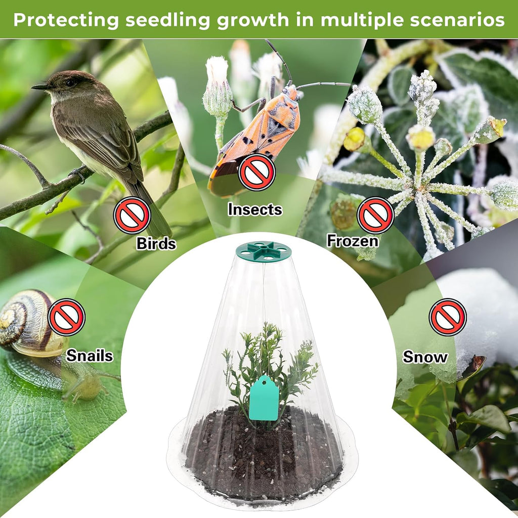 Cloches for Plants, Transparent Plant Covers, Garden Cloches with Humidity Domes, Securing Pegs and Plant Labels