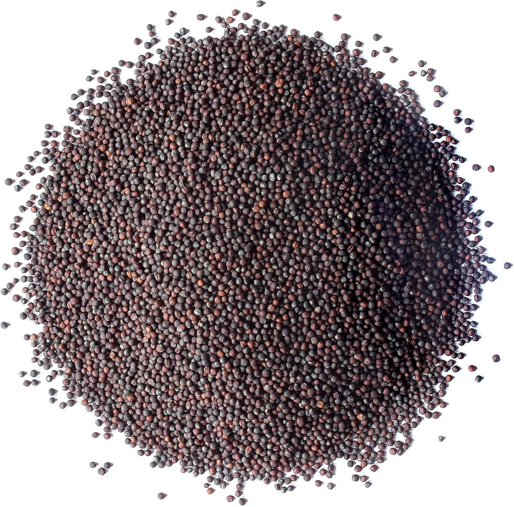 Food to Live - Broccoli Seeds for Sprouting, 1 Pound Vegan, Kosher, Sirtfood, Bulk. Rich in Sulforaphane, Vitamin C