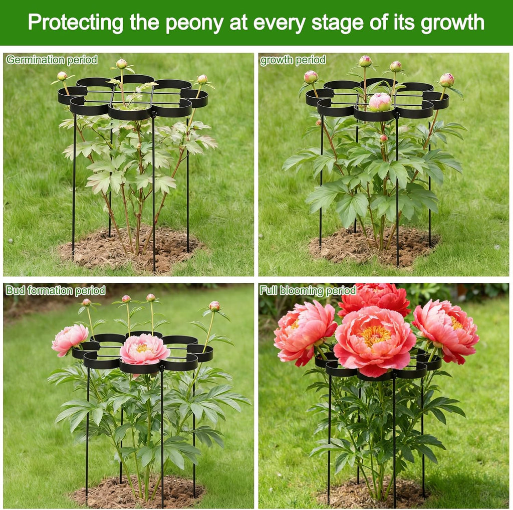 25" Peony Cages and Supports Elegant Modern Flower Support Stakes | Elegant Plant Support Ring for Peonies & Dahlias
