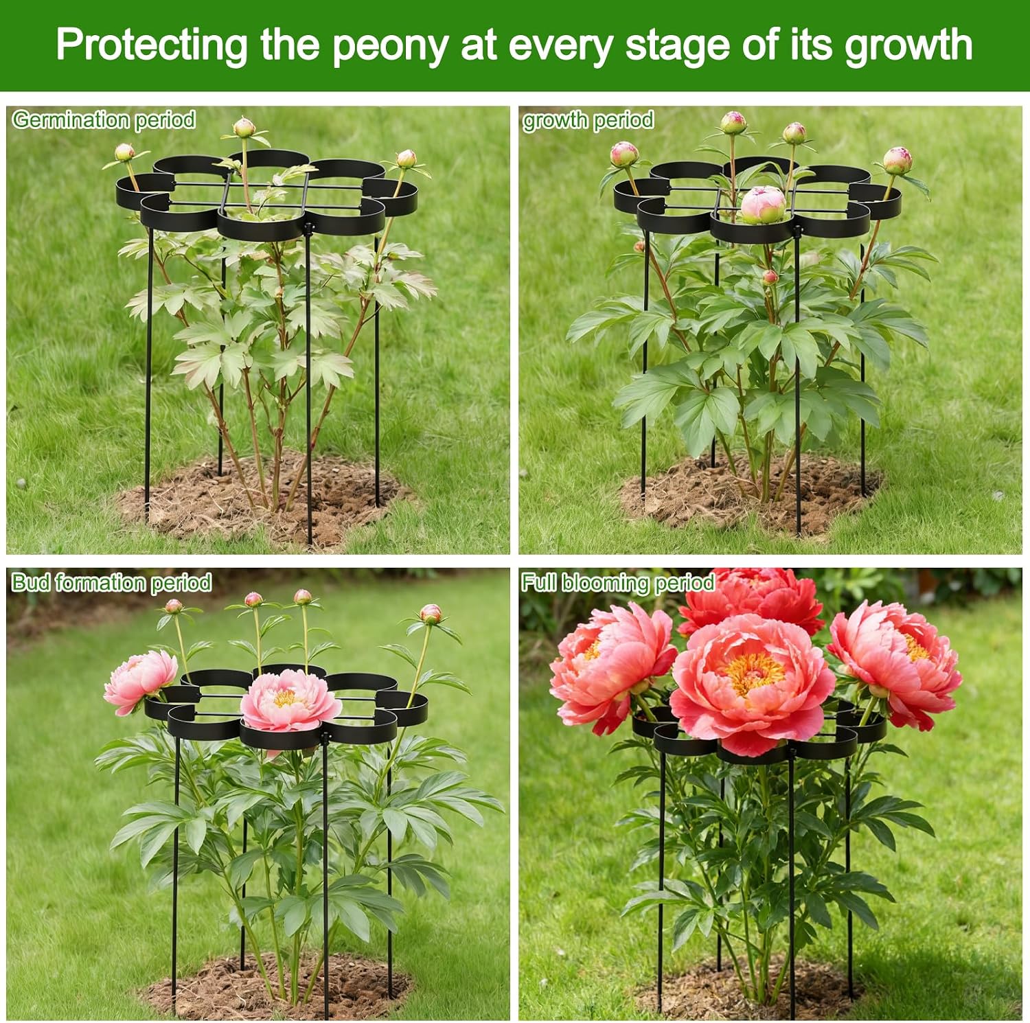 25" Peony Cages and Supports Elegant Modern Flower Support Stakes | Elegant Plant Support Ring for Peonies & Dahlias