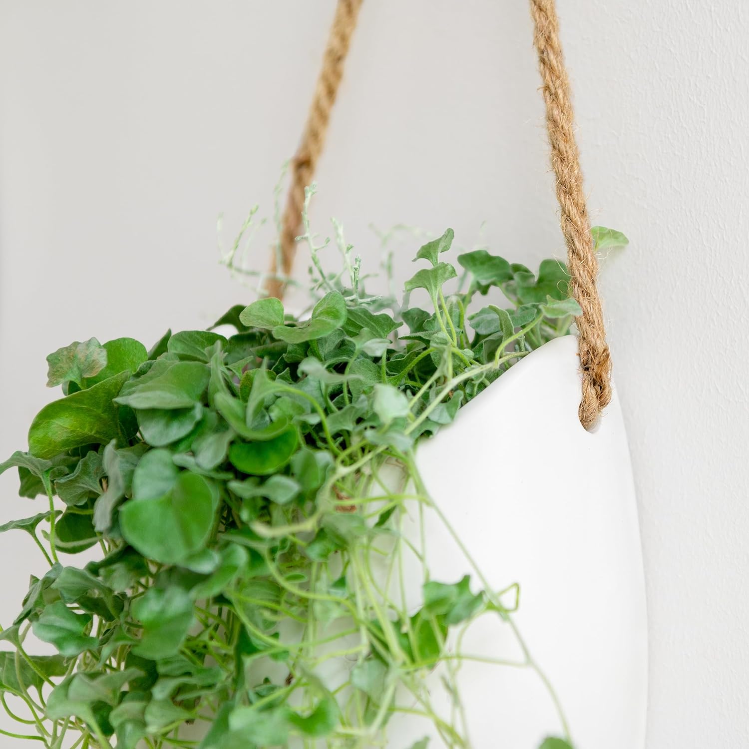 Kazai. Wall Planters -Ellie- | Hanging Ceramic Plant Pots 2 Pieces | Wall Decoration for Indoors, Balcony and Garden