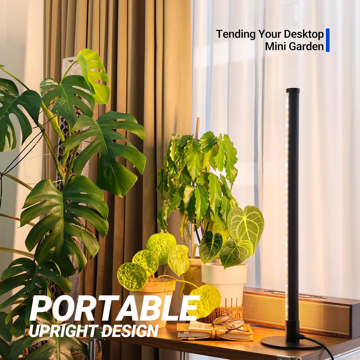Barrina T10 Standing Grow Light for Indoor Plants, 20W 2FT, Full Spectrum | Desk LED Plant Light, Hanging and Standing