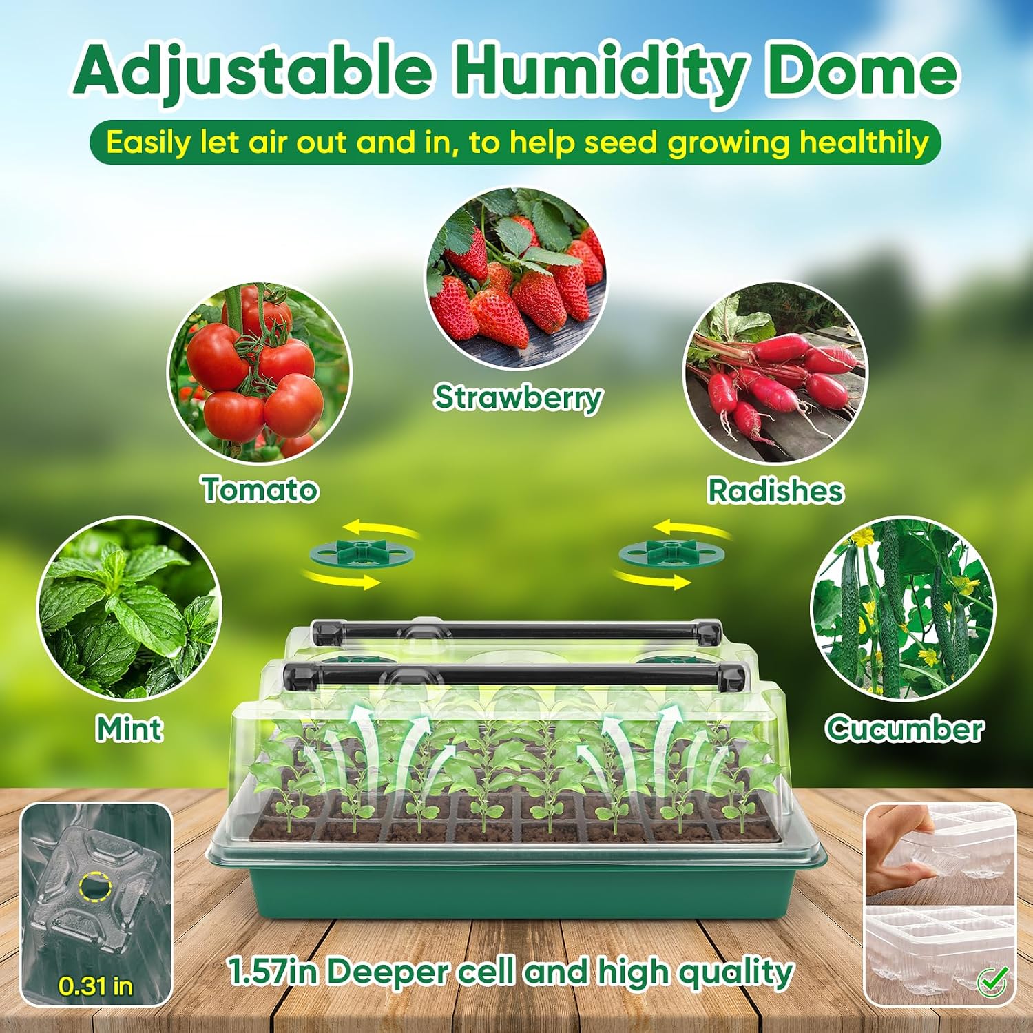 Seed Starter Tray with Grow Light, 1-24H Timer, 2 Pack 80 Cells | Smart Timer, Adjustable Brightness, Seedling Starter