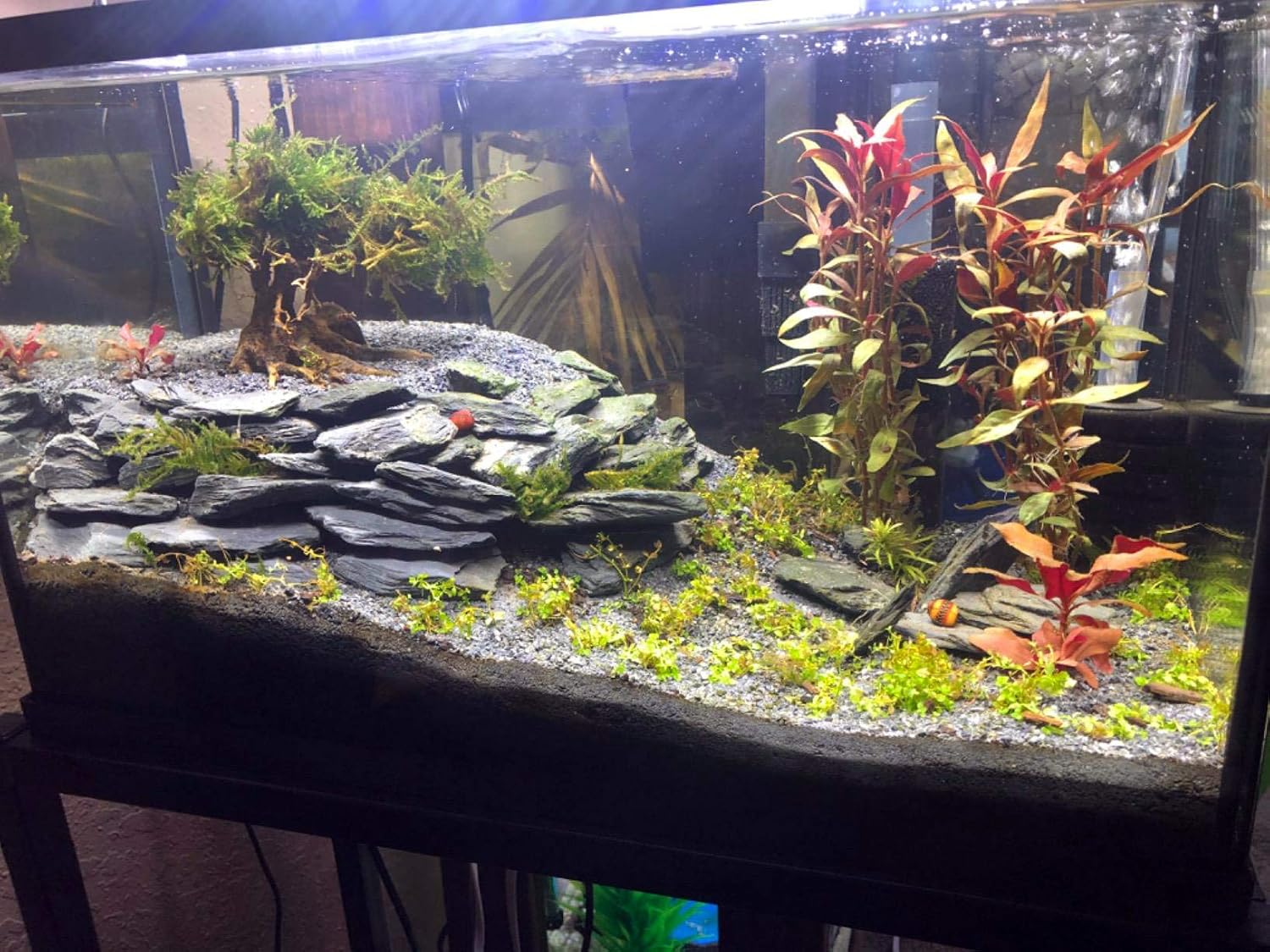 Voulosimi Natural Slate Rocks PH Neutral Stone Perfect Rocks for Aquariums, Landscaping Model,Tank Decoration,Amphibian