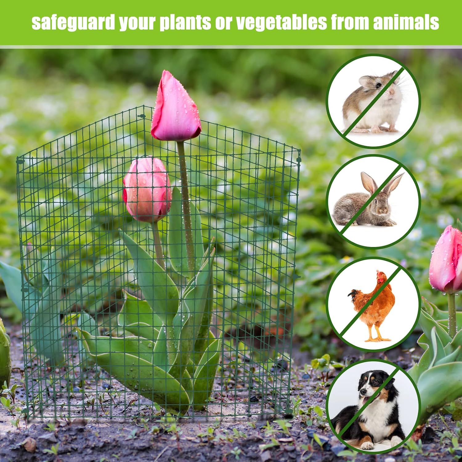 Zubebe 10 Pack Small Wire Plant Protectors Square Plant Protectors from Animals Mesh Cage Chicken Wire Cloche for