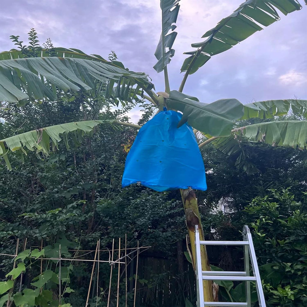 5PCS Banana Grow Bag, Plastic Protection Cover Ripening Netting, 150 * 80cm/59 * 31in. Sun Protection Fruit Keeper