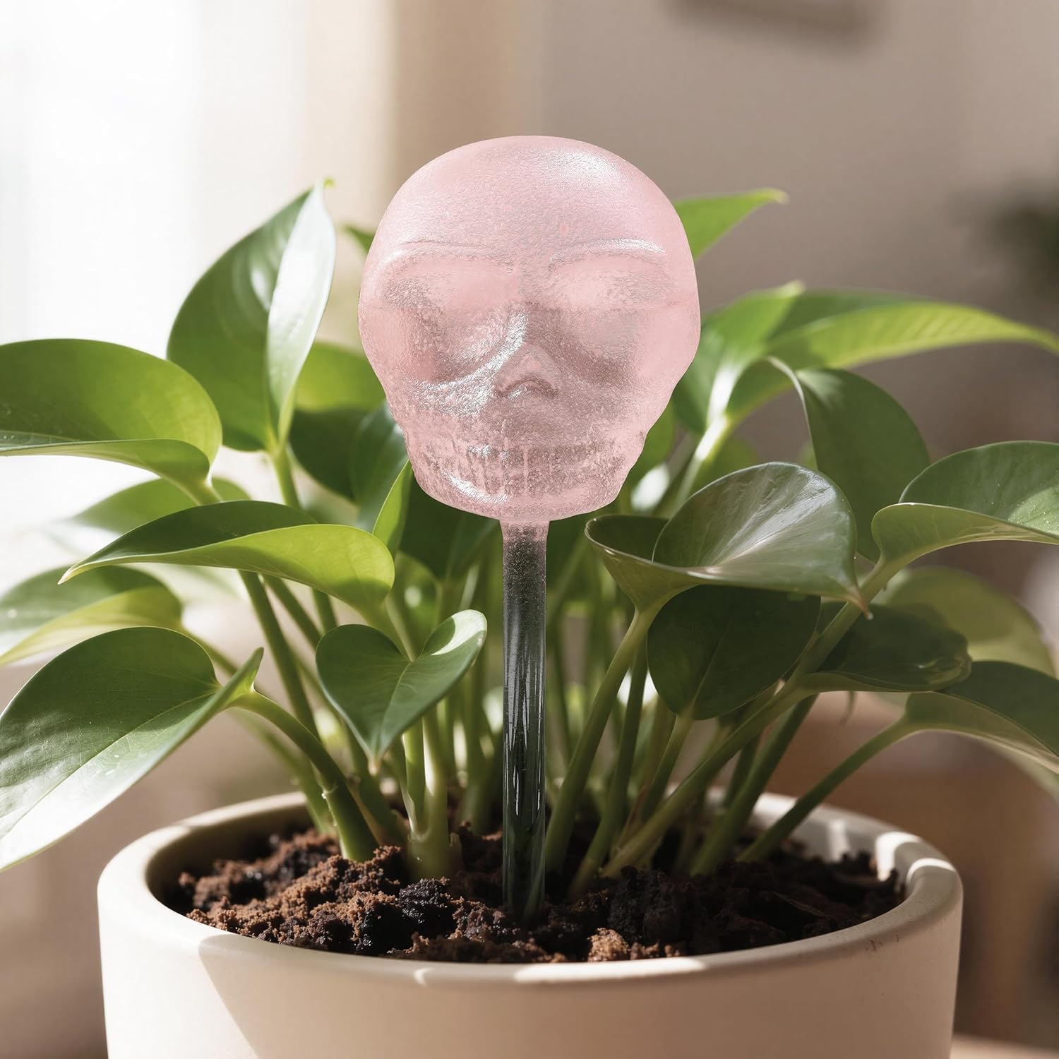 Soilagua 10 oz Glow-in-The-Dark Smiling Cute Skull Glass Plant Watering Globes, Halloween Goth Water Bulbs, Gothic