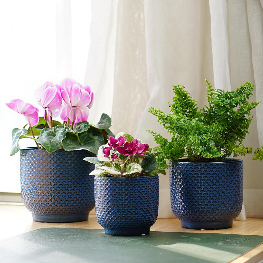 4 + 5 + 6 Inch Ceramic Pots for Indoor Plants, Succulents Plant Pots, Orchid Flower Pot with Drainage Hole, Modern Clay
