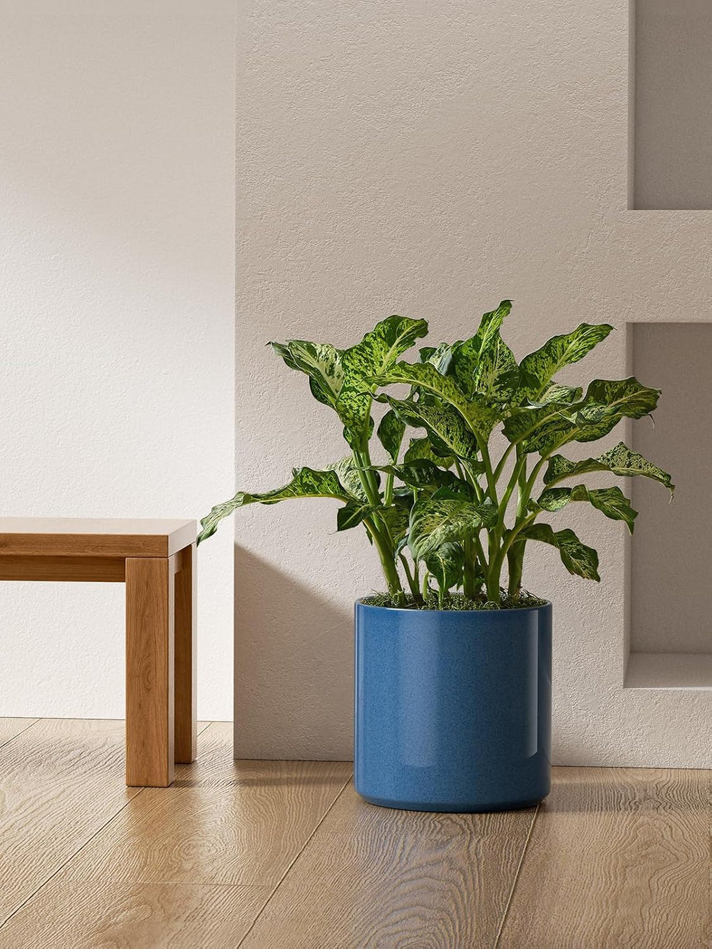 LE TAUCI 12 Inch Pot for Plants, Ceramic Planters for Indoor Plants, Mid-Century Modern Cylinder Flower Pots with