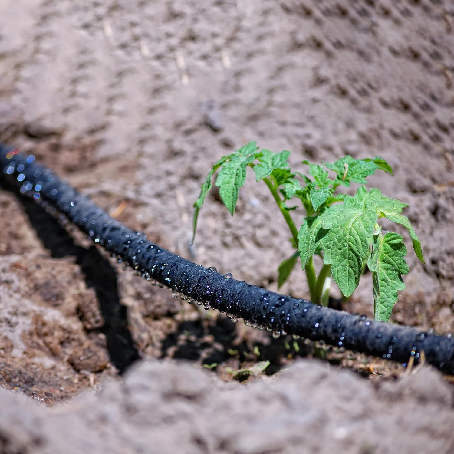 Atlantic Short Soaker Hose 10 FT x1/2" Garden Soaker Hose, Water Seeper Hoses for Foundation Watering, Garden Beds