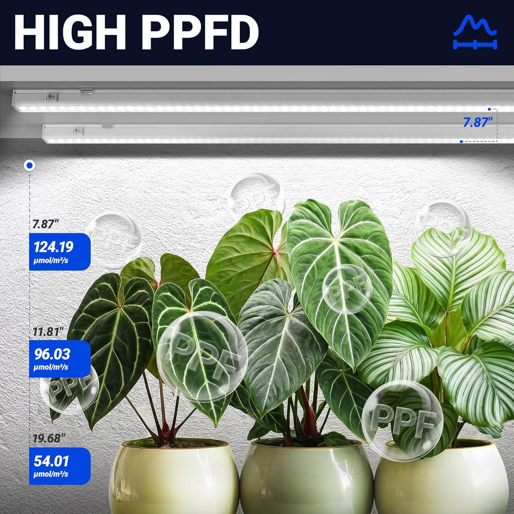 Barrina T5 Grow Lights, 3FT 128W (8 X 16W), 5000K Grow Lamp, 8 Packs, White | Full Spectrum Grow Light with Separate