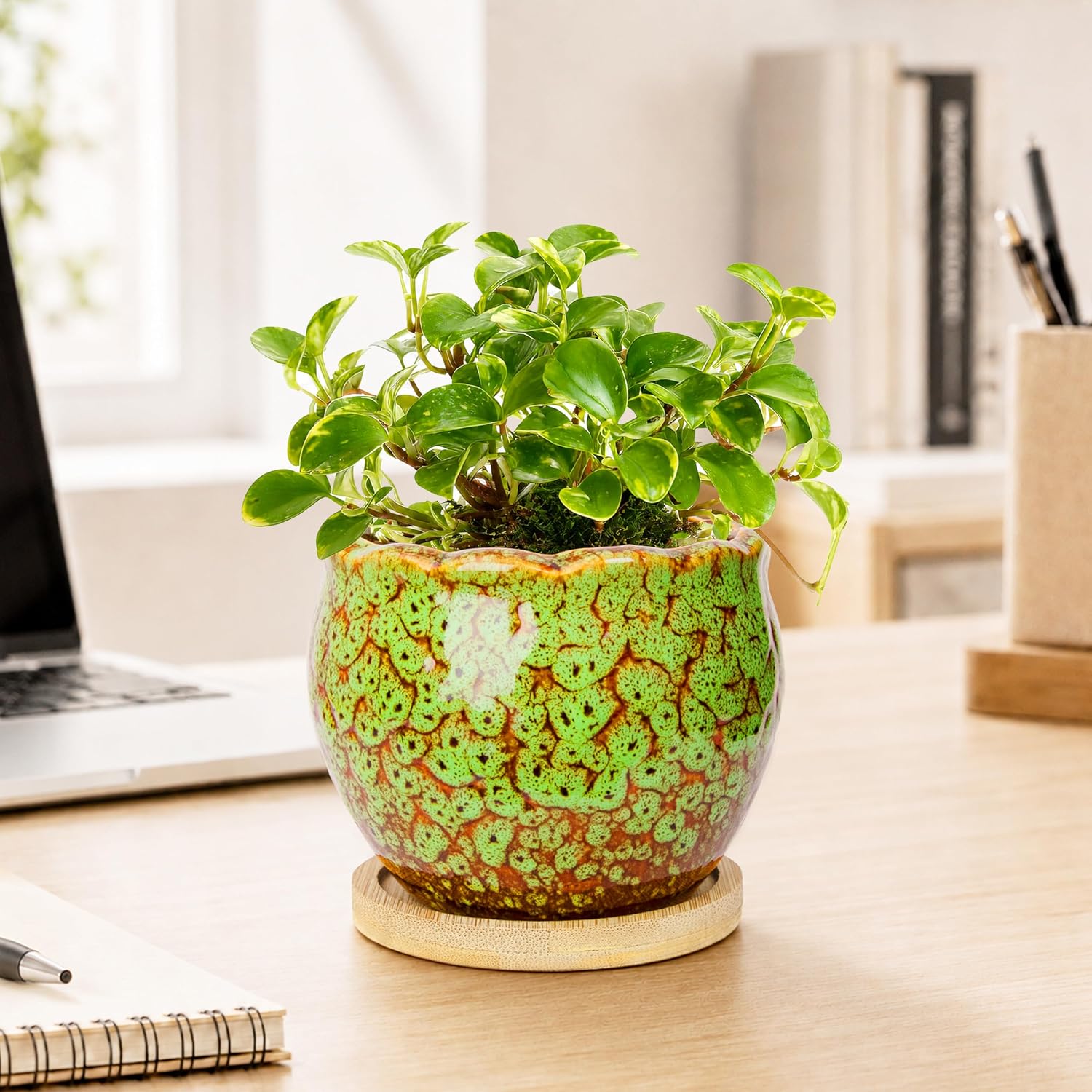 ARTKETTY Succulent Pots, 4 Pack Small Plant Pots with Drainage Tray | 4 Inch Flower Pots, Ceramic Planters for Indoor