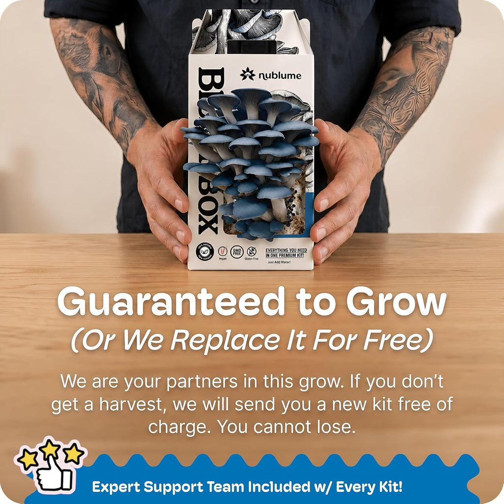 BloomBox Blue Oyster Mushroom Grow Kit – Spray & Grow – Pre-Inoculated Indoor Mushroom Farm – Beginner Friendly –