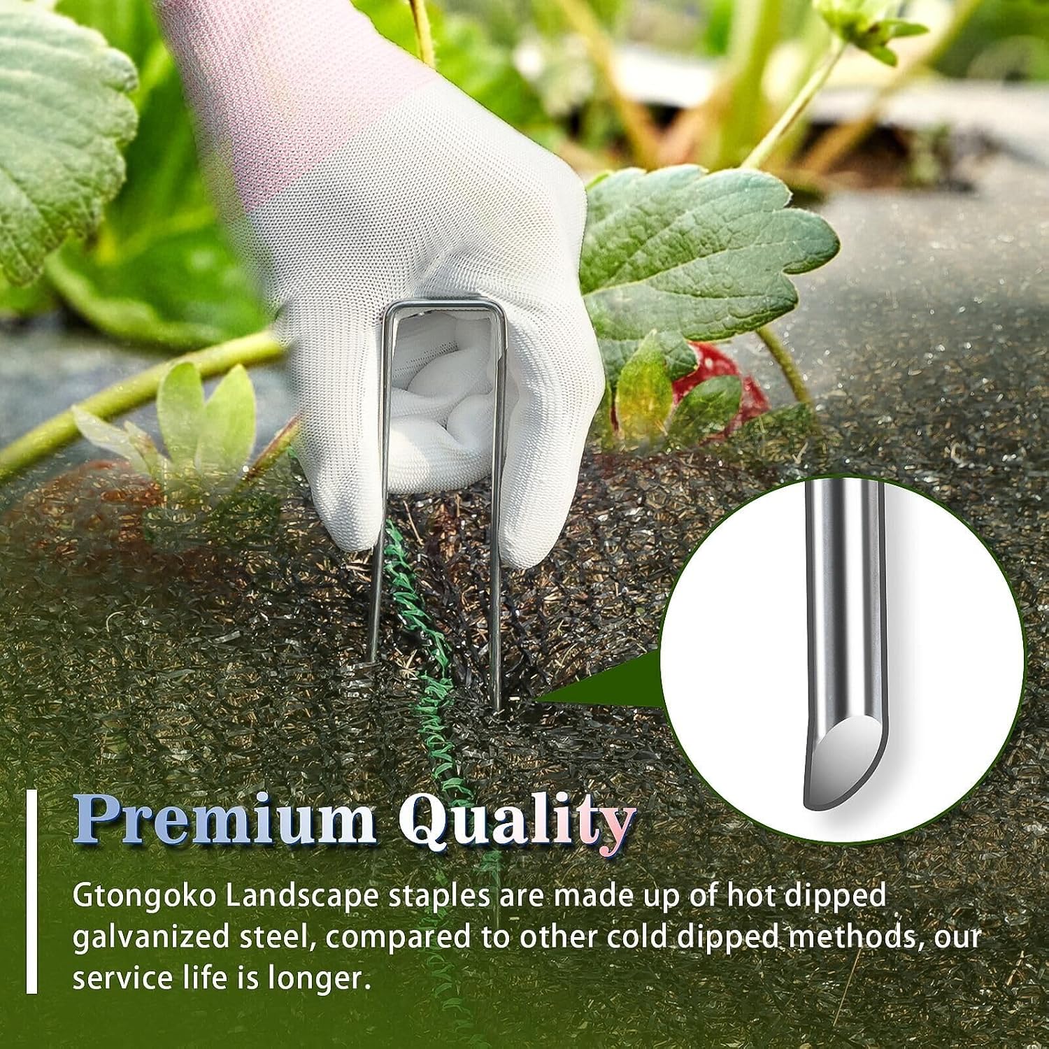 Gtongoko 200 Pack Galvanized Landscape Staples Garden Stakes Plant Cover Stakes 6 Inch 11 Gauge SOD Staples Fence