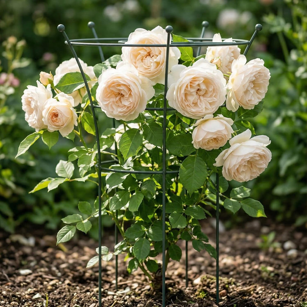 Peony Cages and Supports 2 Pack, Heavy Duty Metal Flower Support Cage, 24"(W) x 36" (H) Trumpet Plant Support for