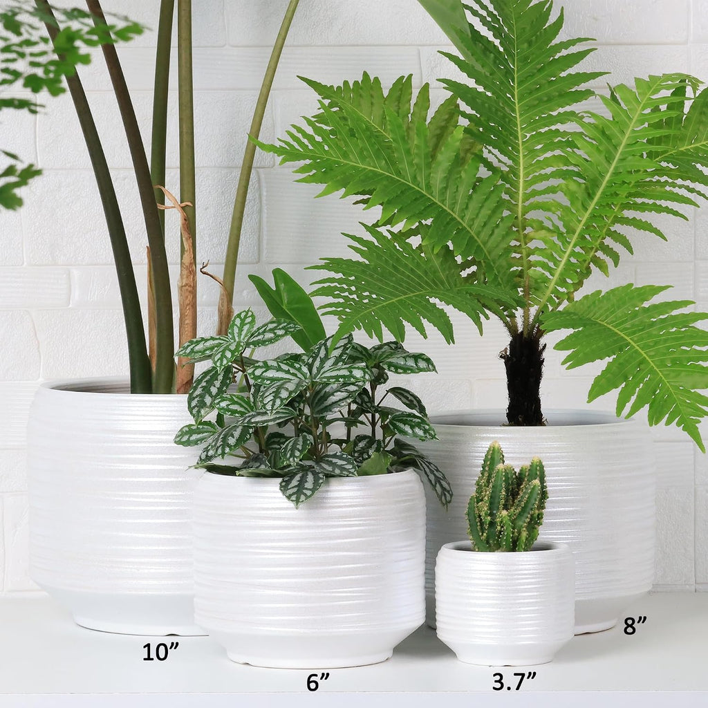 10 Inch Ceramic Plant Pot with Drainage – Large Flower Pot for Indoor Outdoor Plants, Modern Decorative Planter for