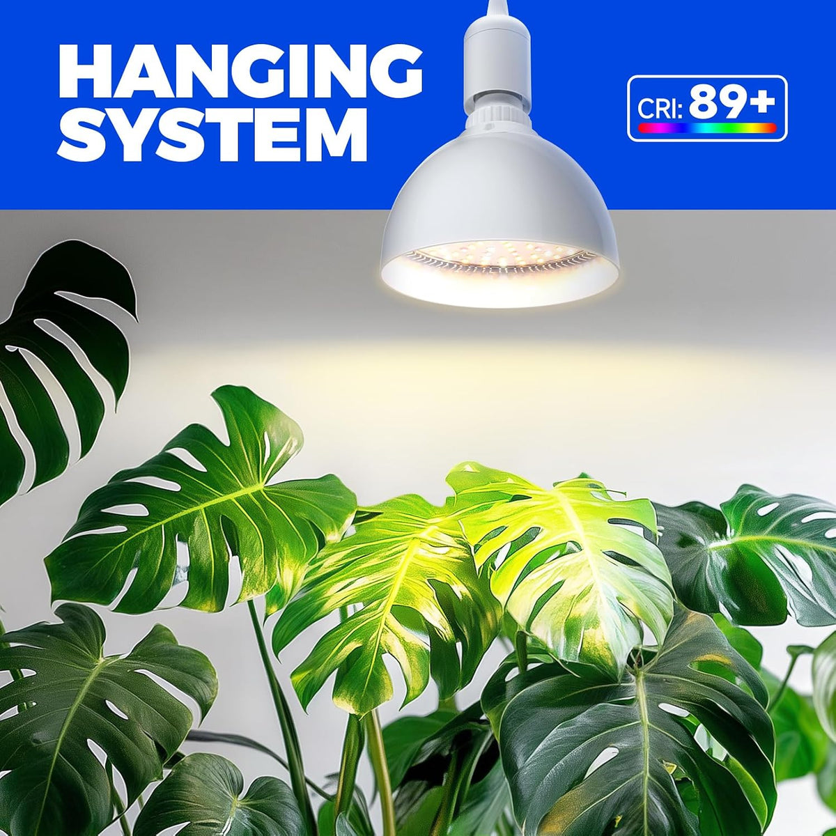 Barrina Hanging Grow Light Bulbs for Indoor Plant, 25W Full Spectrum, Timer | 4H/9H/14H, Hanging Grow Light Bulbs for