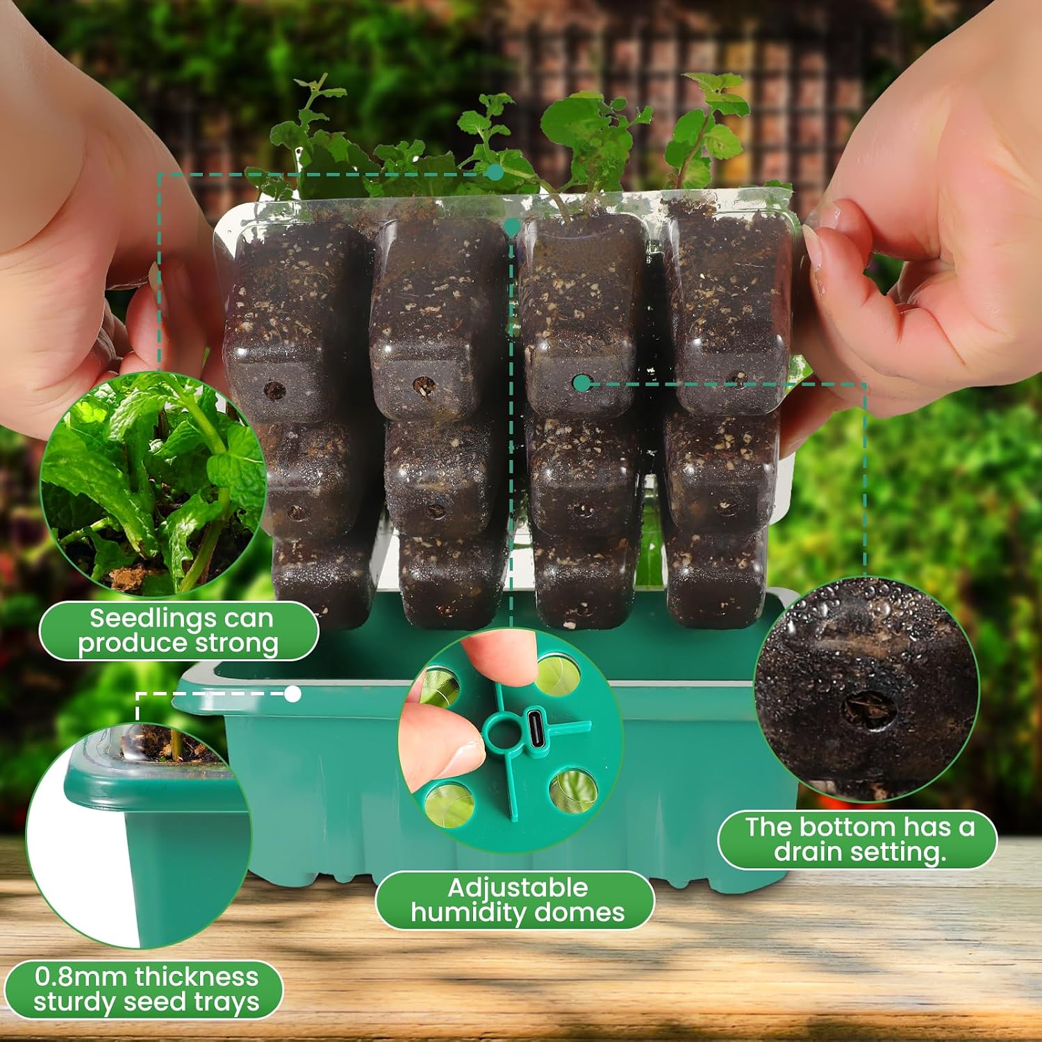 Seed Starter Trays with Grow Lights, 72 Cells Seed Starter Kit with Lights, 3 Lighting Mode, 4 Timing Set, Germination