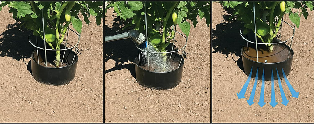 Planting Grow Rings 10 Pack – Interlocking Garden Plant Rings | Garden Rings for Plants Support and Soil Moisture