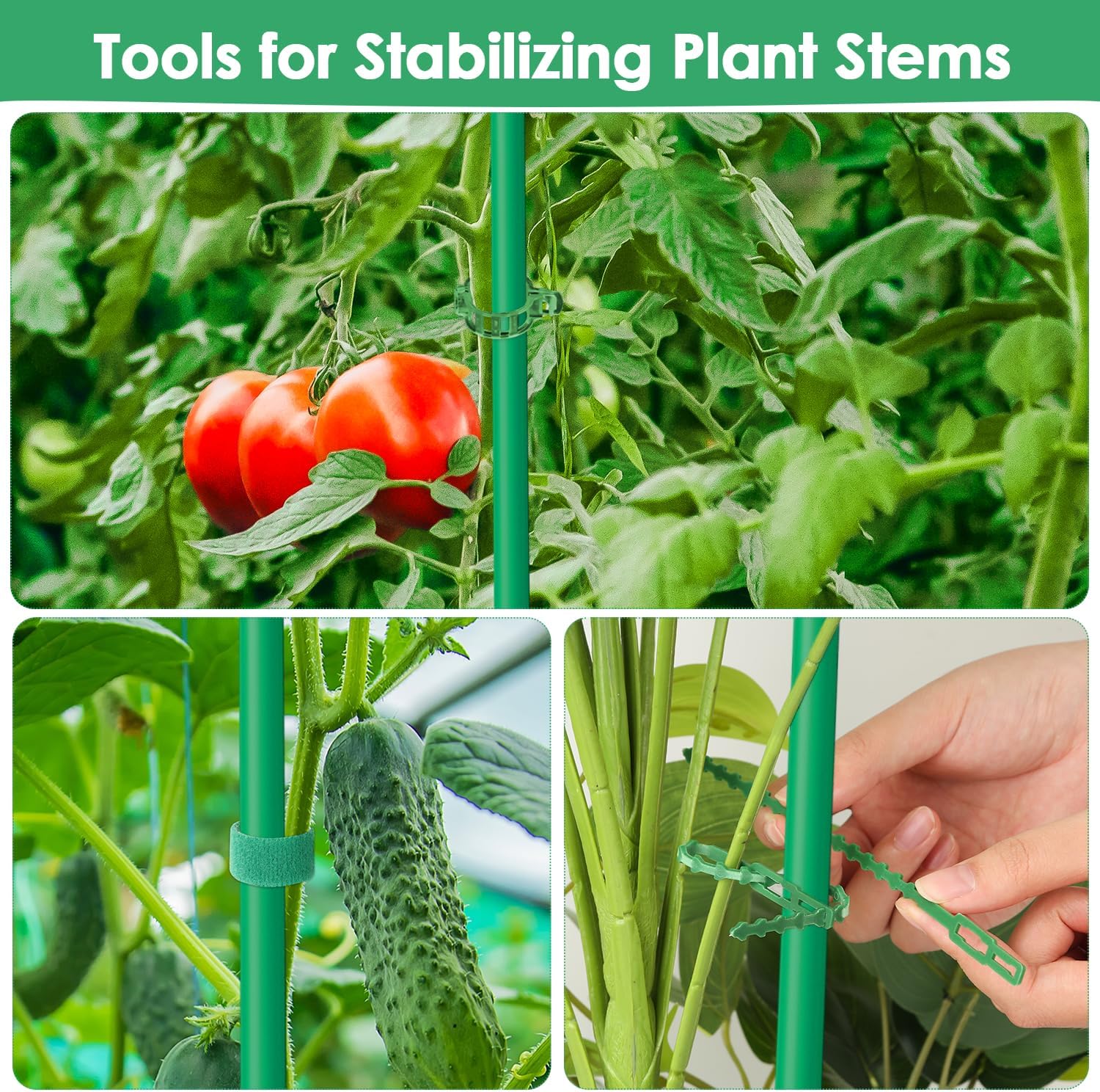 3 Pack Tomato Cages for Garden, Square Tomato Trellis with Grow Bags, 49 IN Tall Heavy Duty Tomato Plant Stakes Support