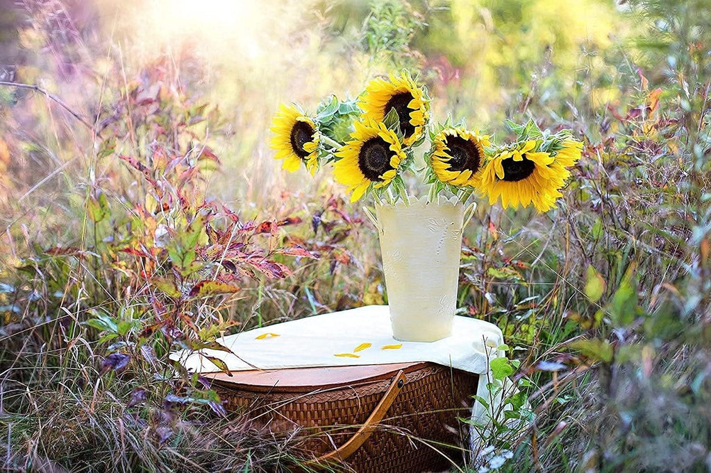 Set of 500 Flower Seed Packets - Flower Seeds in Bulk - 15 or More Varieties Available - Great for Creating Colorful