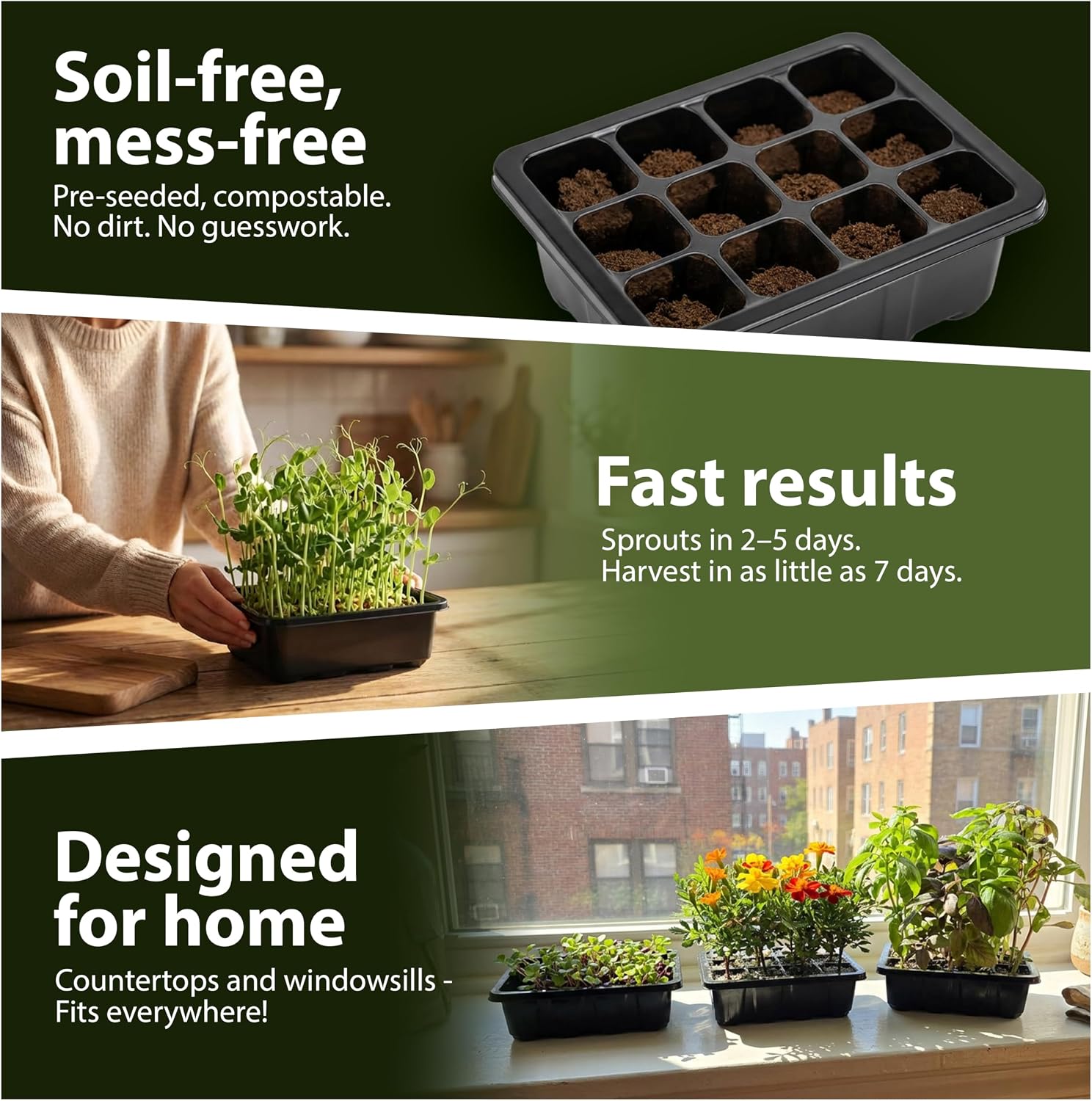 Seed Starter Kit with Humidity Dome – 12-Cell Indoor Pre-Seeded Seed Starting Tray with Basil & Microgreens – Complete