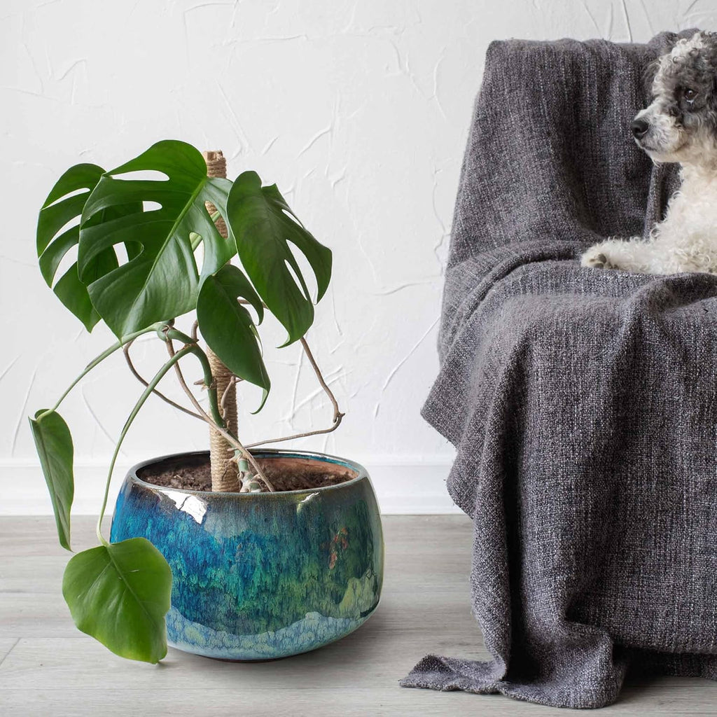 Reactive Glaze Peacock Color 11" Ceramic Plant Pot，Large Flower Pot Planter | Artisan Blue Pot with Drainage Hole