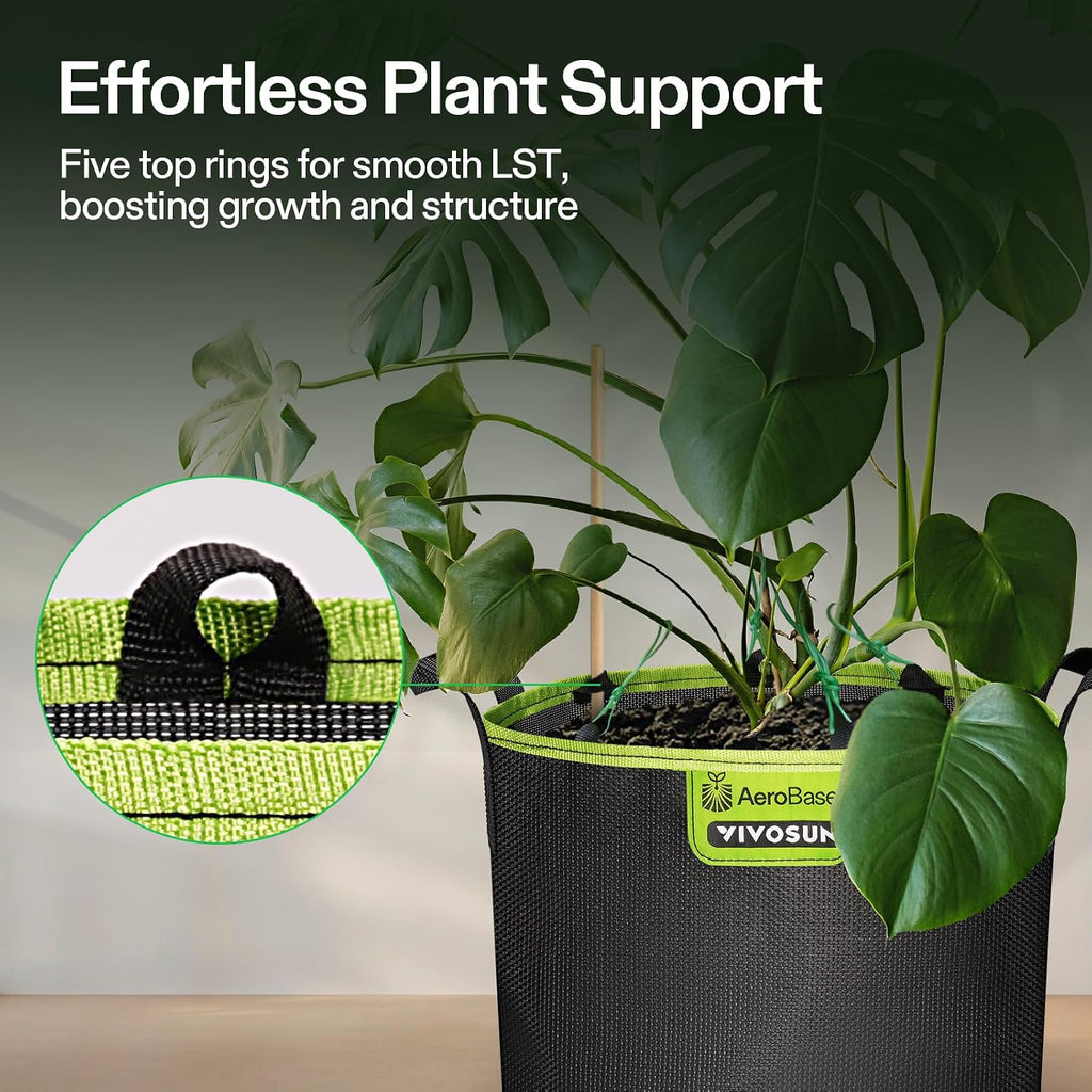VIVOSUN 3-Pack 3-Gallon AeroBase Grow Bags, Durable Mesh Fabric Plant Container with Breathable Base and Sturdy