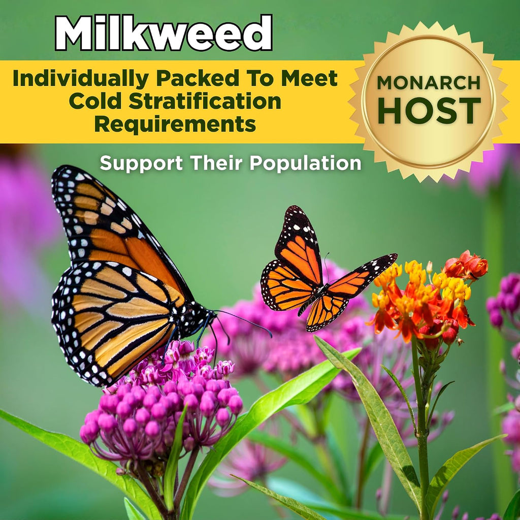 Monarch Butterfly Garden Kit with Milkweed Seeds–Perennial Flower Seeds to Plant Outside| 1/4 Pound Pure Bulk