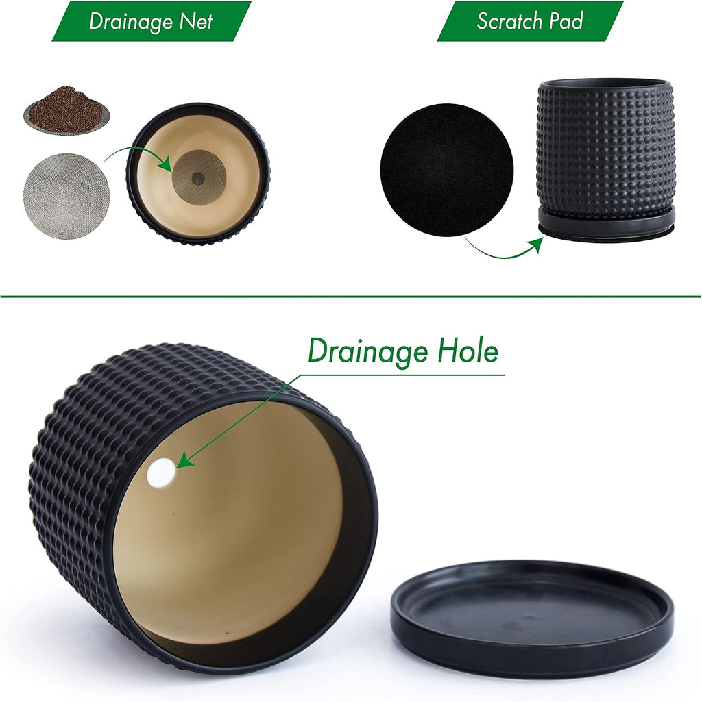 D'vine Dev 2-Pack Beaded Ceramic Pots, 6 in, Ebony Matte, 27-E-X-6 | Embossed Dot Texture, Smooth Glazed Finish