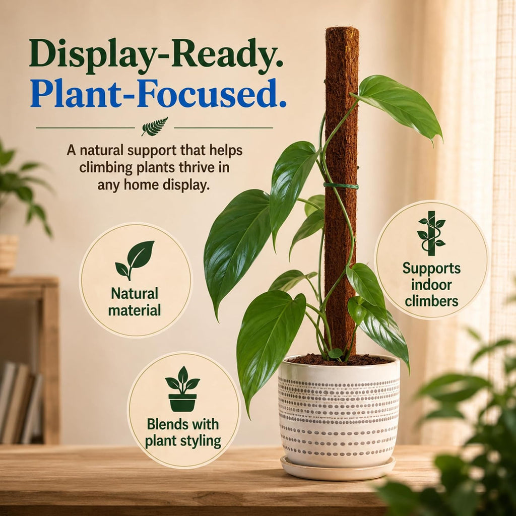 Fernwood Tree Fern Totem Pole Climbing Plant Support - 2 Pack – 19.7x2x2 | For Orchids, Aroids, and Other Climbing
