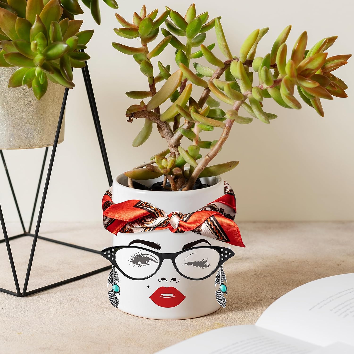 DSjuedui Funny Face Planter Pots Accessories Kit – 29Pcs Face Stickers for Mouth Eyes Eyebrows Nose with Glasses