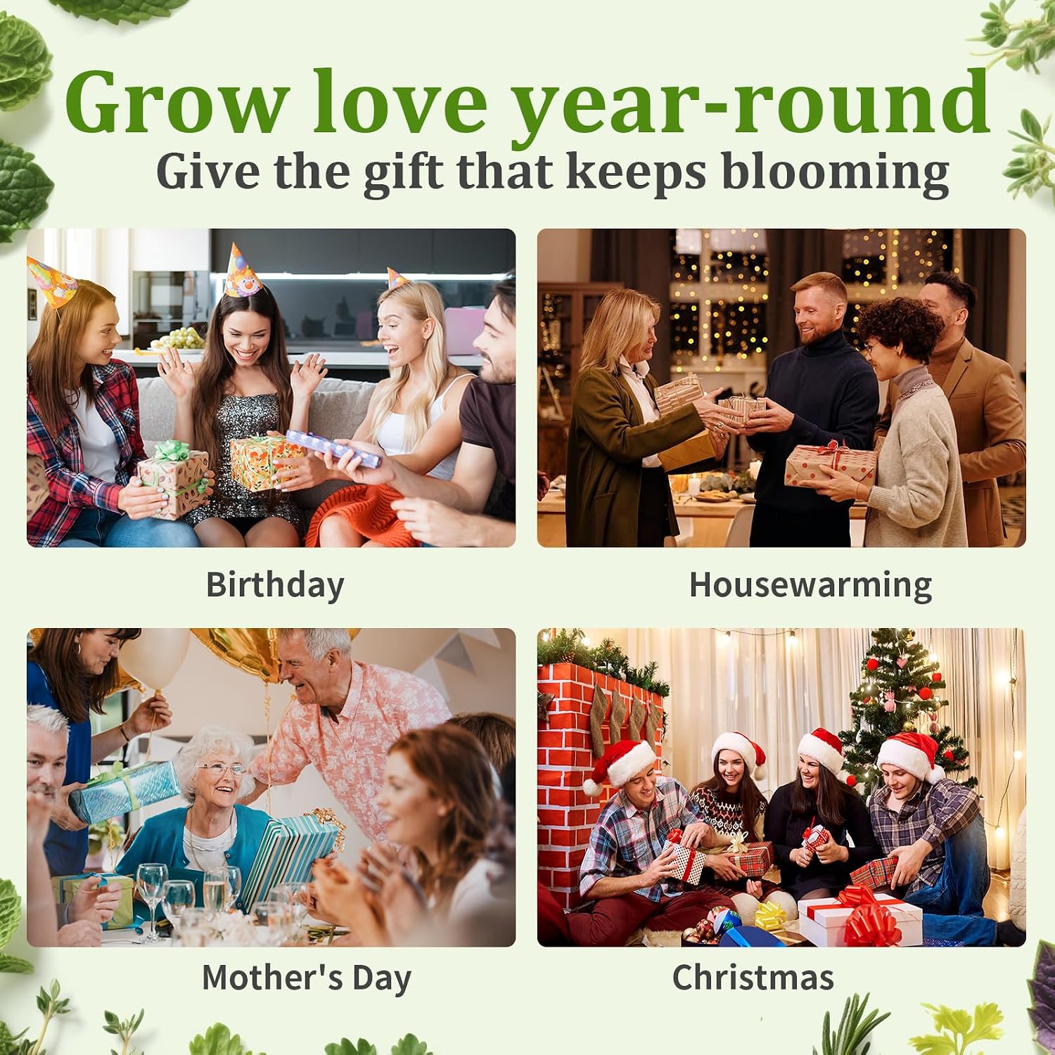 10-Set Indoor Herb Garden Starter Kit, 7 Seeds Growing into Basil, Parsley, Thyme, Mint, Cilantro, Dill, Oregano