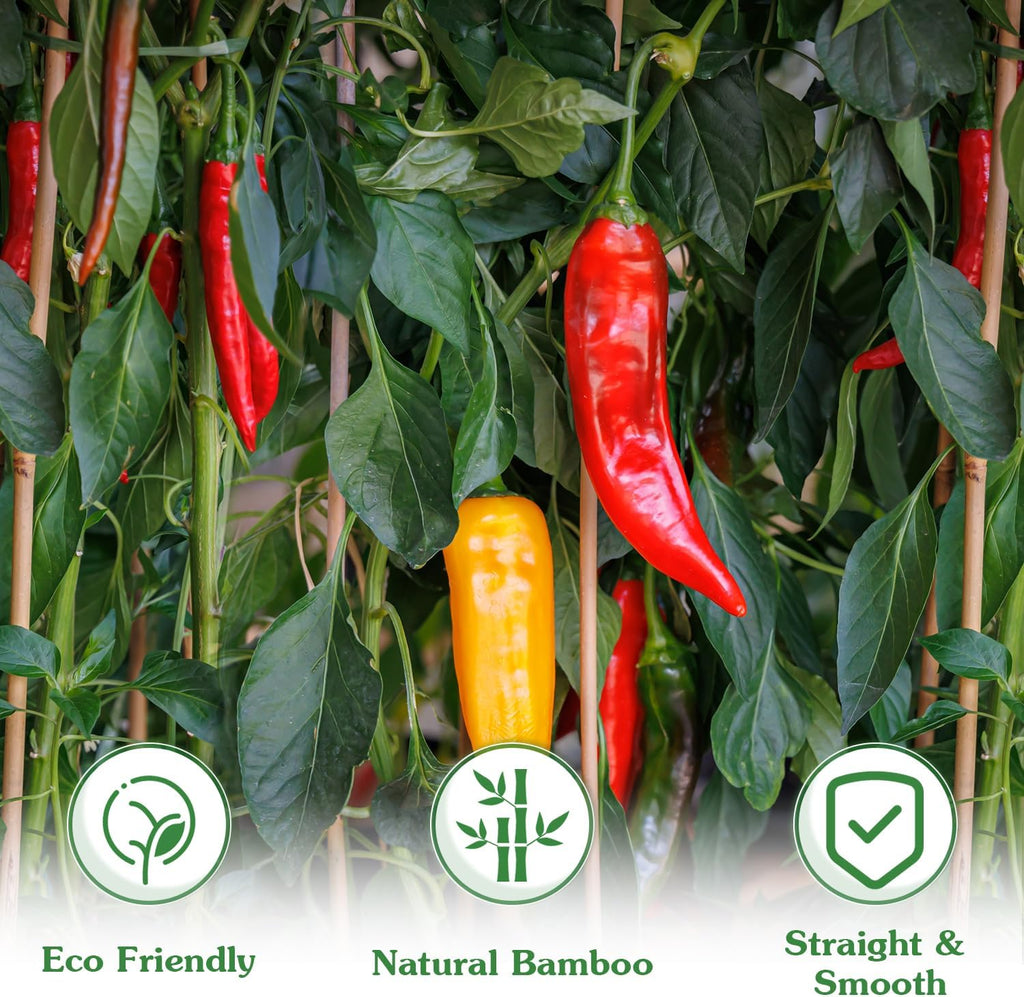 Plant Stakes, 4 FT Natural Bamboo Stakes Plant Support Stakes - 25Pcs | Bamboo Sticks for Indoor Plants, Ideal Climbing