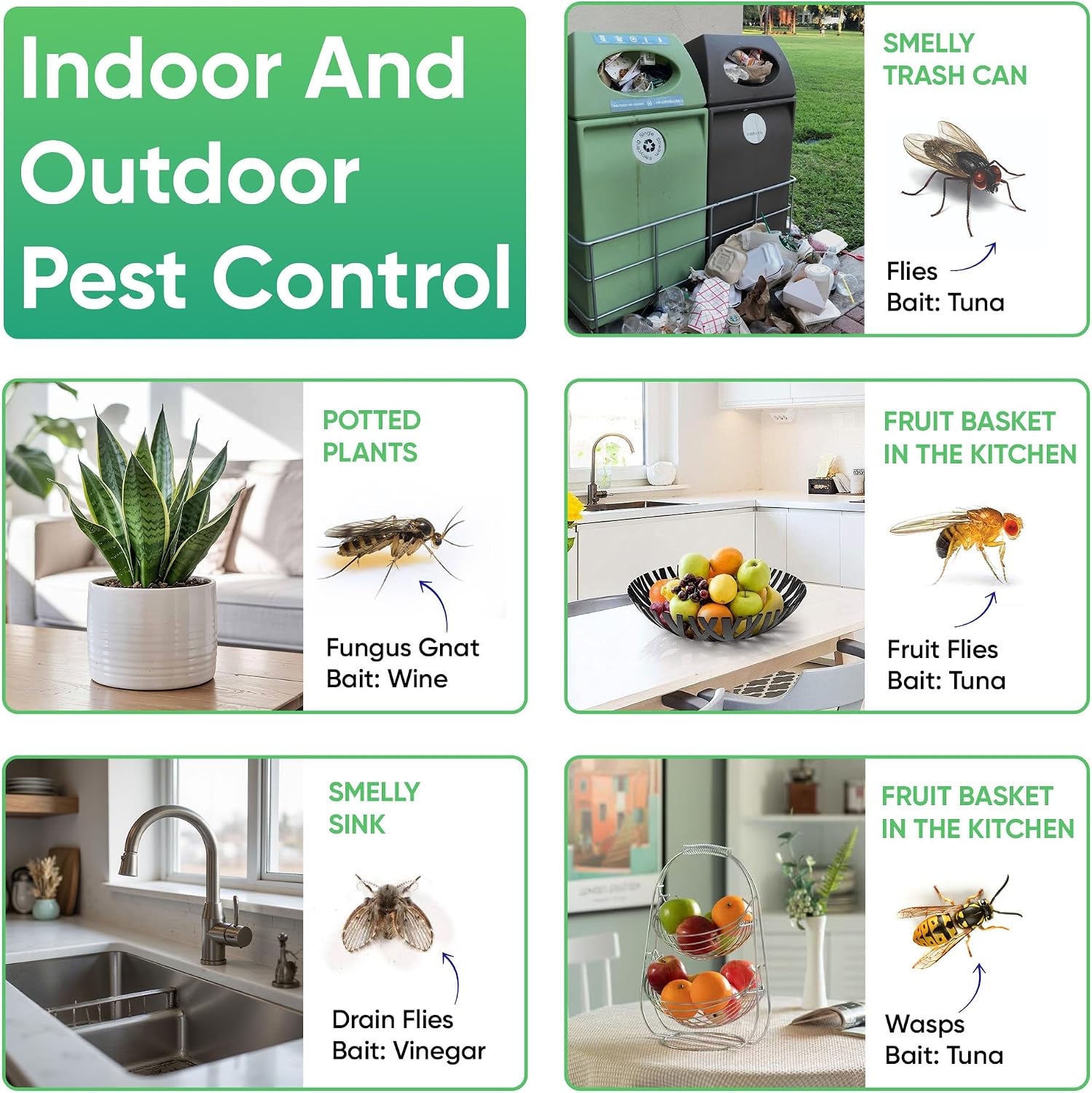 Sticky Fly Trap Indoor & Outdoor Pack of 8 | Hanging Fly Stick for Gnats, Flies, Wasps, Mosquitoes & Other Flying Bugs