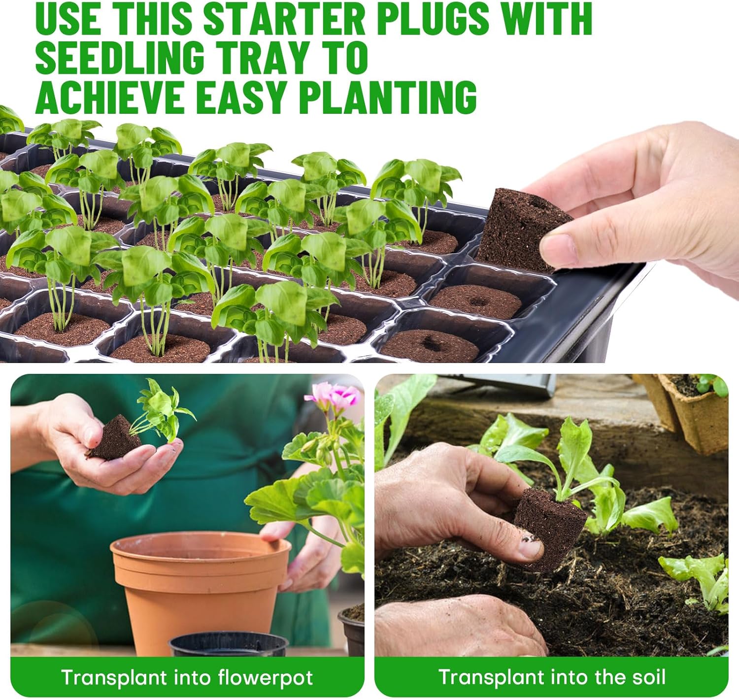 40 Pcs Seed Starter Plugs with Tray, Replacement Grow Sponges Plant Plugs, Great for Soil, Tray or Planting Pods