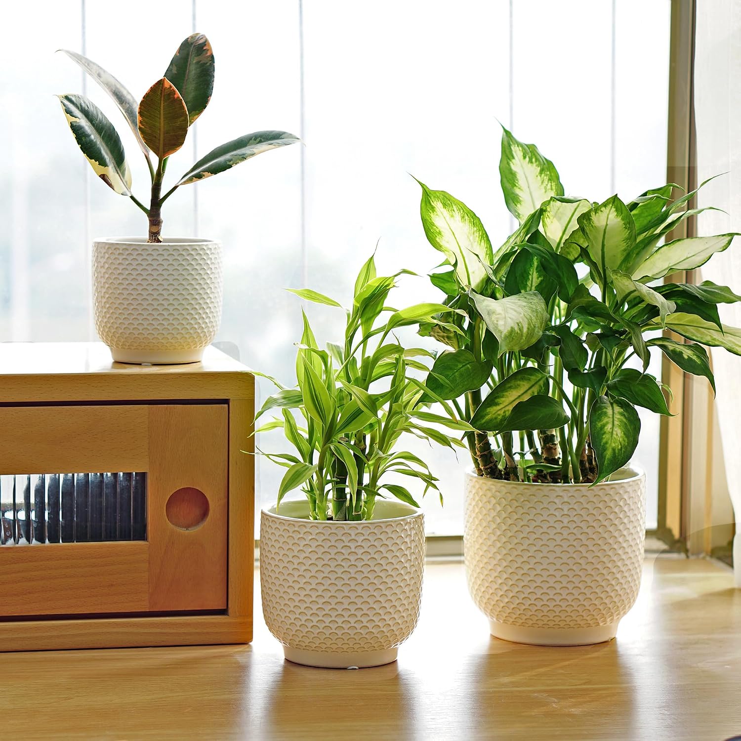4 + 5 + 6 Inch Ceramic Pots for Indoor Plants, Succulents Plant Pots, Orchid Flower Pot with Drainage Hole, Modern Clay