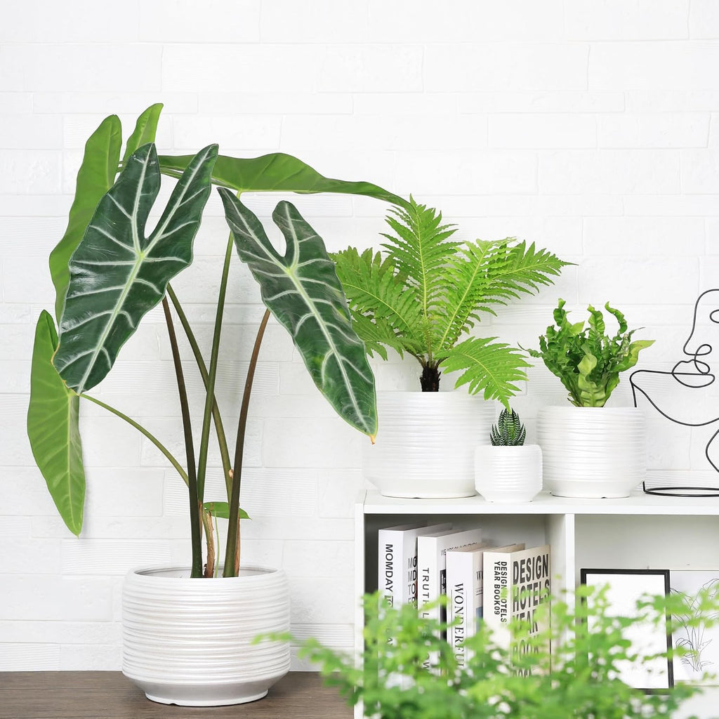 10 Inch Ceramic Plant Pot with Drainage – Large Flower Pot for Indoor Outdoor Plants, Modern Decorative Planter for