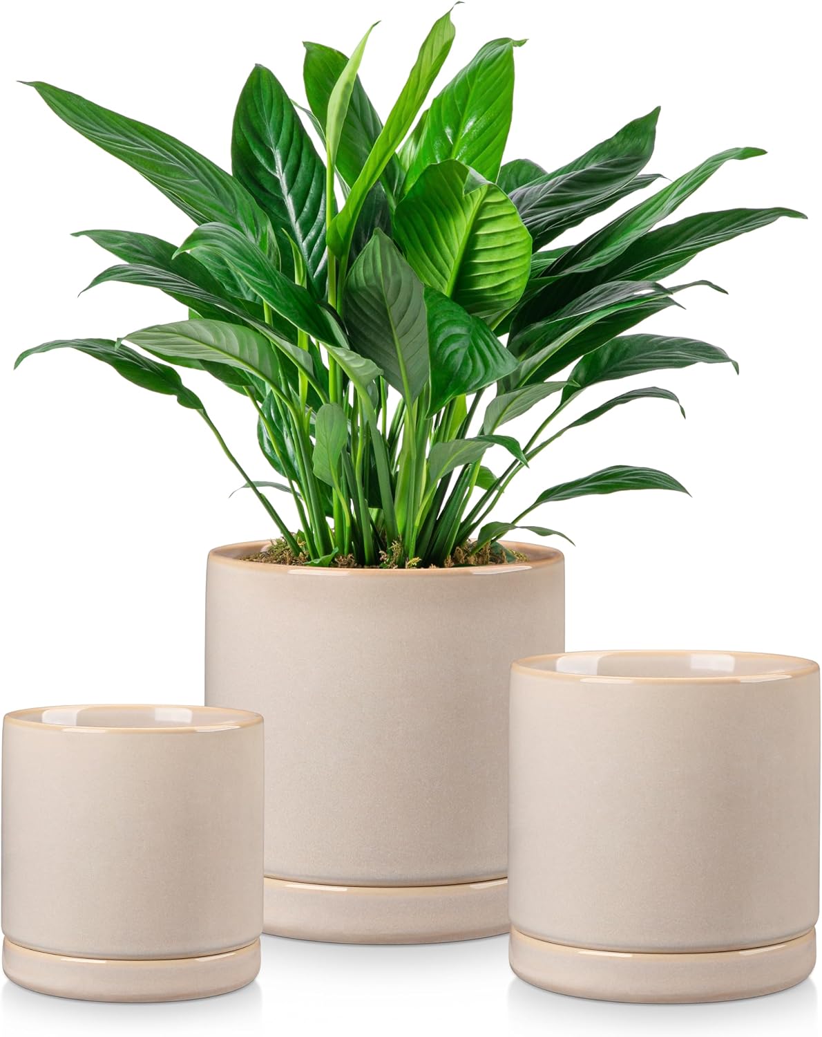 D'vine Dev 4.7 Inch Ceramic Planter Pot, Grey, 94-O-B-3
