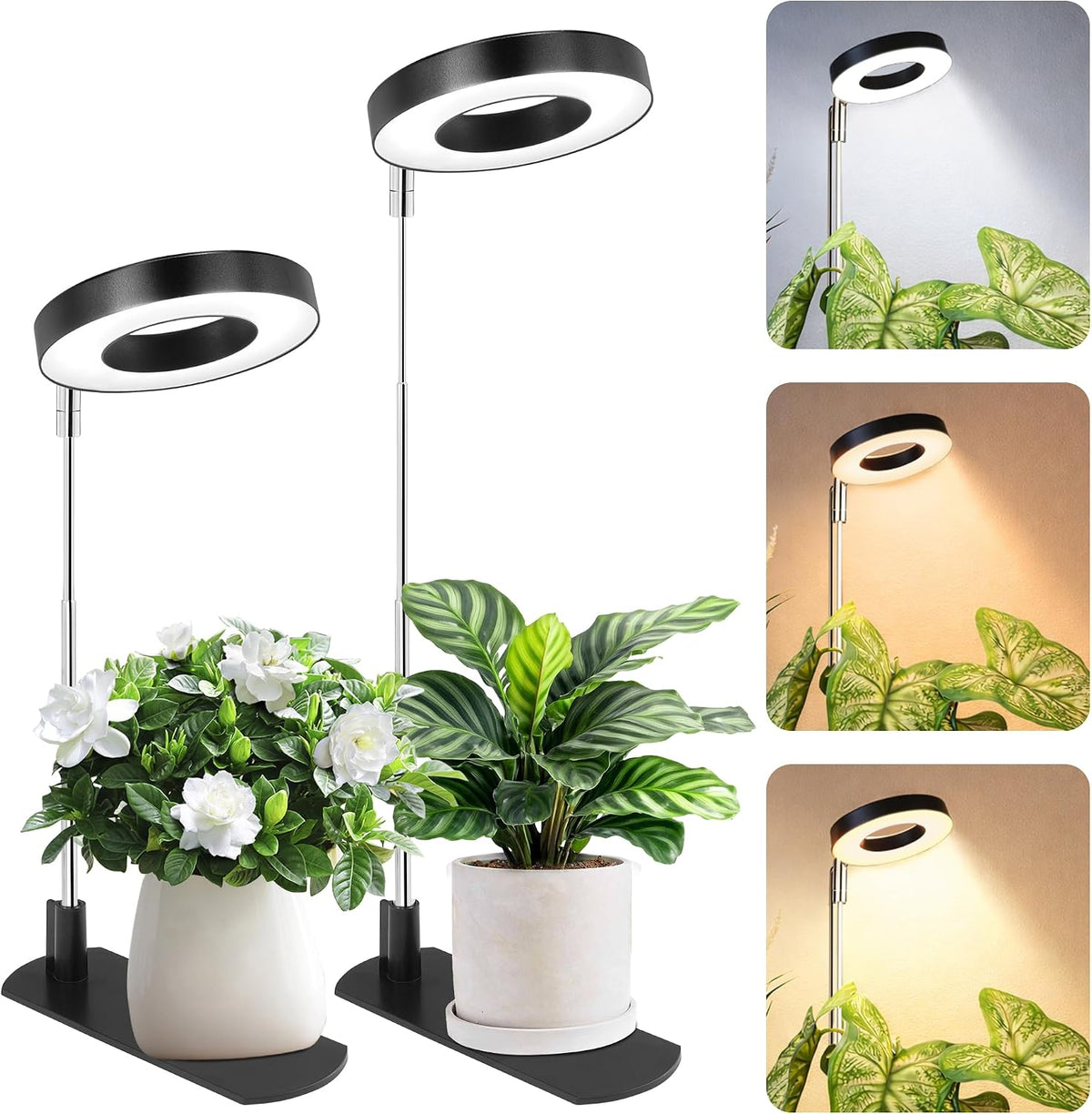 LBW Grow Lights for Indoor Plants, Full Spectrum Halo Grow Light with Base