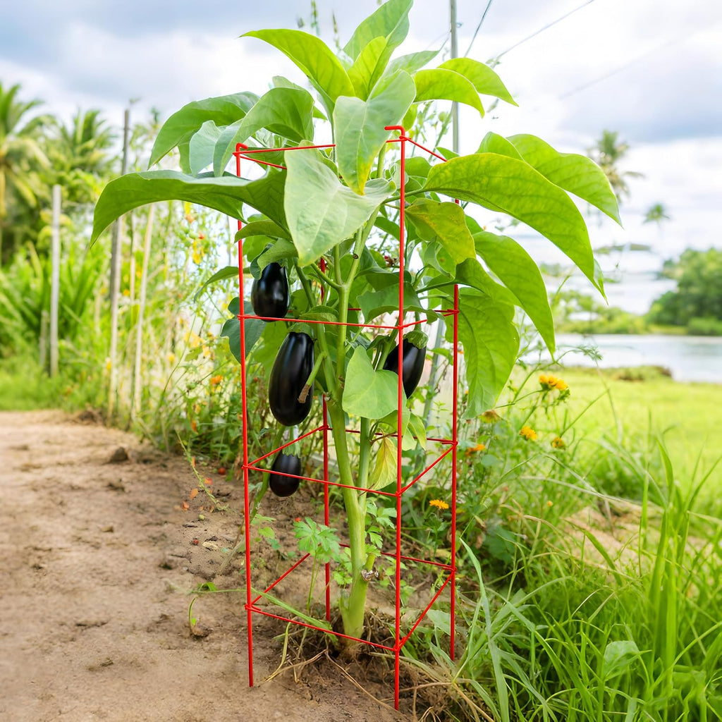6-Pack Tomato Cage for Garden Plant Support- Up to 46inch | Garden Stakes Tomato Cage,Tomato Trellis for Potted Plants