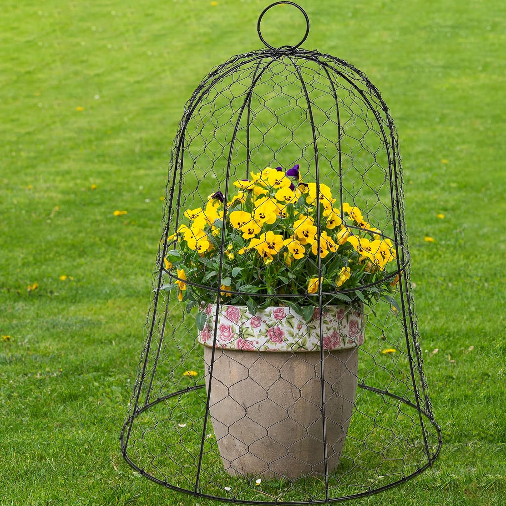 Coloch 5 Pack Garden Chicken Wire Cloche, 16x 13 Inches Black Dome Plant Protector Cover Strong Metal Garden Cloches