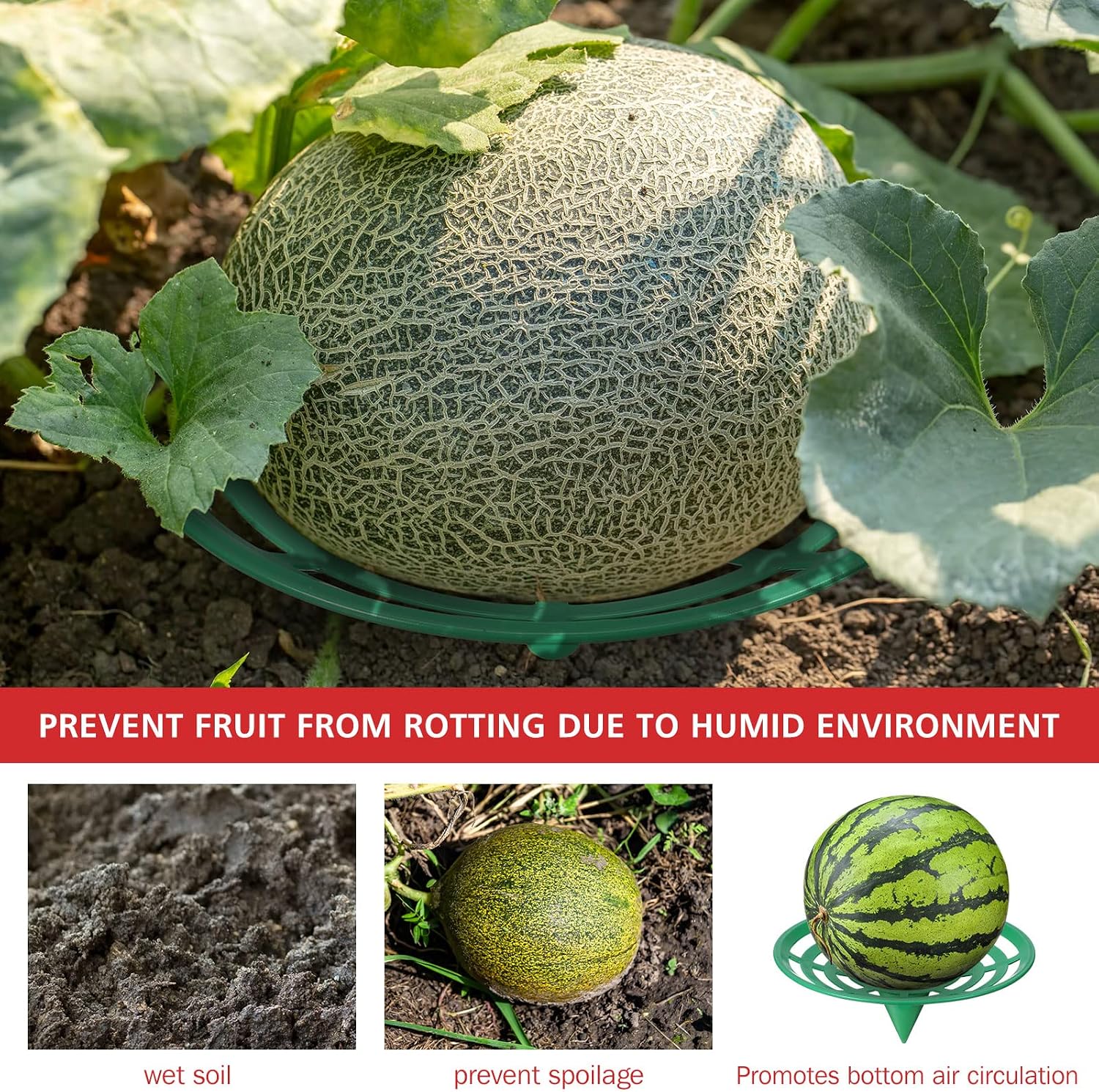 Irenare 24 Pcs Melon Cradle for Garden Watermelon Support Plant Protector for Squash Pumpkin Harvest Basket Watermelon